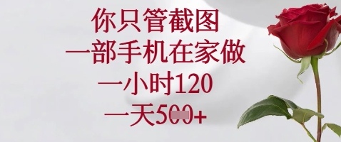 你只管截图，一部手机在家做，苹果安卓都可以，一小时120，一天5张+【揭秘】_泡桐学堂