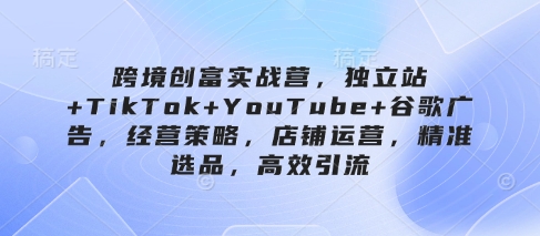 跨境创富实战营，独立站+TikTok+YouTube+谷歌广告，经营策略，店铺运营，精准选品，高效引流_泡桐学堂