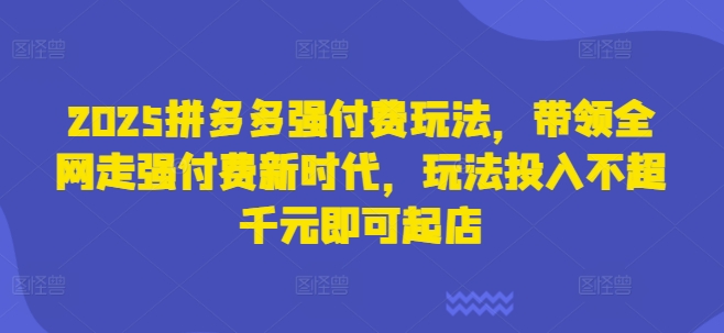 2025拼多多强付费玩法，带领全网走强付费新时代，玩法投入不超千元即可起店_泡桐学堂