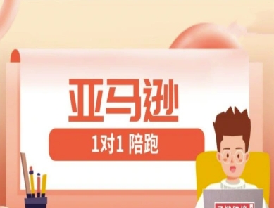 亚马逊1对1陪跑课(FBA/FBM精铺)跨境亚马逊教程_泡桐学堂