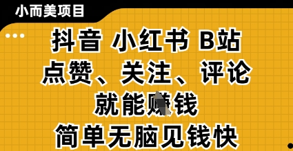 小而美的项目，抖音小红书B站视频点赞、关注、评论就能挣钱，简单无脑立见收益，妥妥的零撸项目【揭秘】_泡桐学堂
