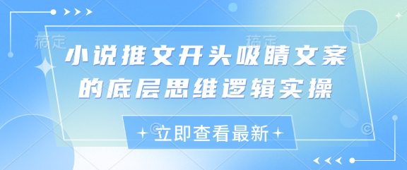 小说推文开头吸睛文案的底层思维逻辑实操_泡桐学堂