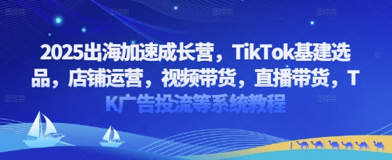 2025出海加速成长营，TikTok基建选品，店铺运营，视频带货，直播带货，TK广告投流等系统教程_泡桐学堂