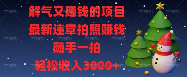 解气又挣钱的项目，最新违章拍照挣钱，随手一拍，轻松收入数张【揭秘】_泡桐学堂