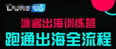 出海训练营基础课，​跑通出海全流程，实战案例拆解_泡桐学堂