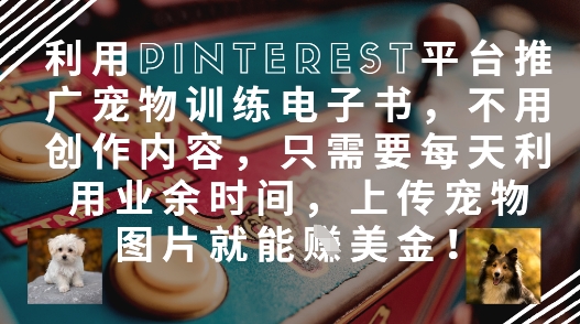 利用Pinterest平台推广宠物训练电子书，不用创作内容，只需要每天利用业余时间，上传宠物图片就能挣美金!_泡桐学堂
