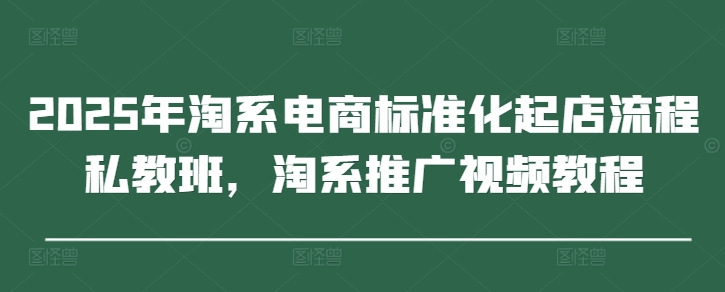2025年淘系电商标准化起店流程私教班，淘系推广视频教程_泡桐学堂