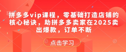 拼多多vip课程，零基础打造店铺的核心秘诀，助拼多多卖家在2025卖出爆款，订单不断_泡桐学堂
