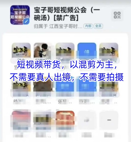 宝子哥头部团队短视频带货，以混剪为主，不需要真人出镜，不需要拍摄_泡桐学堂