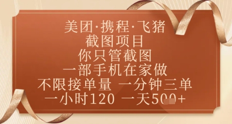 飞猪美团截图项目，你只管截图，一部手机在家做，正规平台无套路，一天5张+【揭秘】_泡桐学堂
