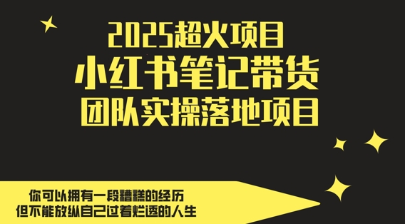 2025超火项目，副业最佳选择，小红书笔记带货团队实操落地项目，，轻松日入5张_泡桐学堂