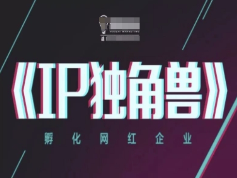 IP独角兽，孵化网红企业，ip教程_泡桐学堂