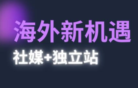 2025出海新机遇(社媒+独立站)，海外新机遇，实现独立站的高效运营与出海_泡桐学堂
