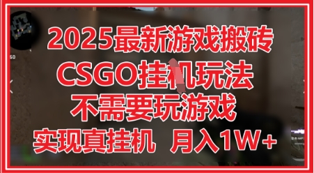 2025最新游戏搬砖，CSGO挂G，不需要玩游戏，实现真挂G，月入1W+【揭秘】_泡桐学堂
