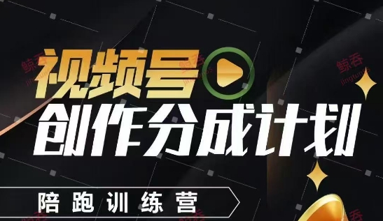 视频号创作分成计划陪跑训练营，手把手教会你如何制作视频，细水长流型项目_泡桐学堂