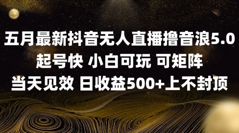 2025五月最新无人直播撸音浪单日产出5张+实操教程【揭秘】_泡桐学堂