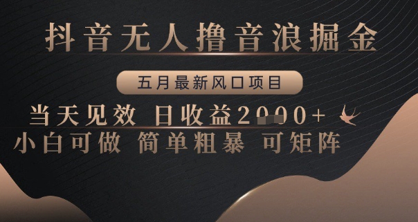 抖音无人撸音浪掘金，五月最新风口项目，当天见效，日收益多张，小白可做简单粗暴可矩阵【揭秘】_泡桐学堂