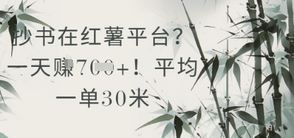 抄书在小红薯平台？平均一单30米，一天收益几张！_泡桐学堂