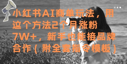 小红书AI商单玩法，用这个方法2个月涨粉7W+，新手也能接品牌合作(附全套指令模板)_泡桐学堂