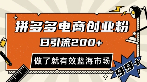 拼多多引流电商创业粉，日引200+，可矩阵放大，做了就有效【揭秘】_泡桐学堂