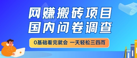 网创搬砖项目，国内问卷调查，小白轻松上手，一天三四张的也不难，干就完了【揭秘】_泡桐学堂