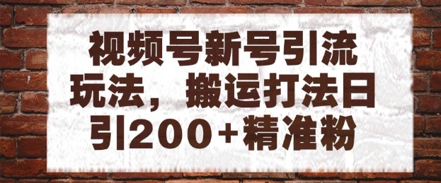 视频号新号引流玩法，搬运打法日引200+精准粉，可矩阵放大【揭秘】_泡桐学堂