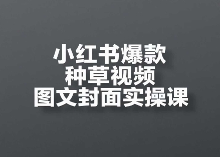 小红书爆款种草视频图文封面实操课，​开店、选品、引流、变现全流程_泡桐学堂