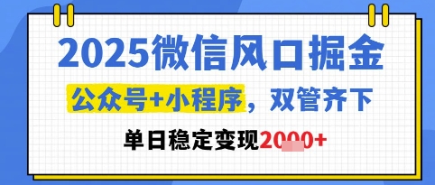 2025微信风口掘金，公众号+小程序双管齐下，单日稳定变现1k+【揭秘】_泡桐学堂