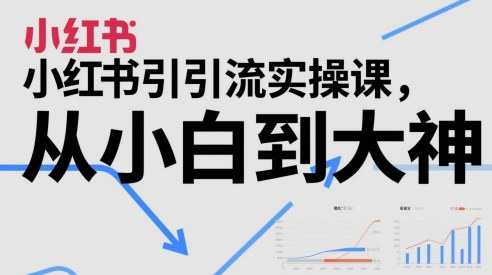 小红书引流实操课，从小白到大神_泡桐学堂