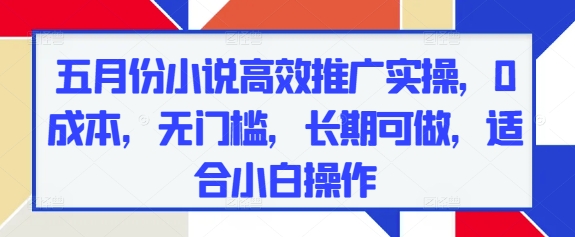 五月份小说高效推广实操，0成本，无门槛，长期可做，适合小白操作_泡桐学堂
