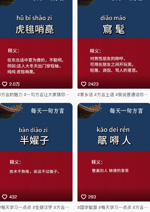 抖音最新涨粉玩法，图文方言暴力涨粉实操，126作品涨粉11W_泡桐学堂