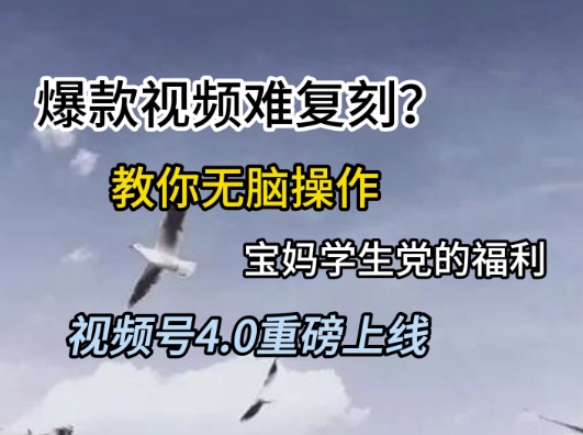 视频号4.0重磅上线，爆款视频难复刻？教你无脑操作宝妈学生党的福利【揭秘】_泡桐学堂