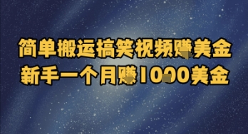 简单搬运搞笑视频挣美金，新手一个月入1k美金_泡桐学堂