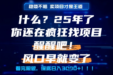 什么？25年你还在疯狂找项目做，醒醒吧，看完这些你全都懂了！【揭秘】_泡桐学堂