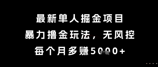 最新单人掘金项目，暴力撸金玩法，无风控，每个月多挣5k+【揭秘】_泡桐学堂