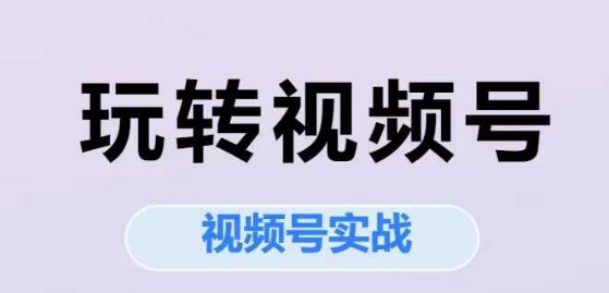 玩转视频号，视频号实战系列课_泡桐学堂