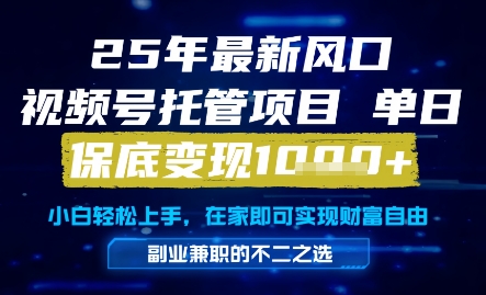25年最新风口，视频号托管项目，单日保底变现1k+，手把手教学【揭秘】_泡桐学堂