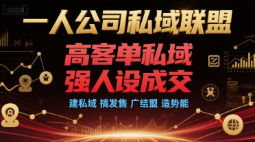 一人公司私域联盟，高客单私域，强人设成交，建私域 搞发售 广结盟 造势能_泡桐学堂