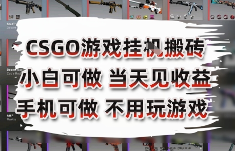CSGO游戏挂G搬砖，小白纯手机即可操作，不用电脑打游戏，日入3张+，副业网创项目【揭秘】_泡桐学堂
