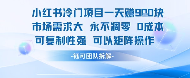 小红书冷门项目一天收益9张，市场需求大，0成本，可复制性强可以矩阵操作_泡桐学堂