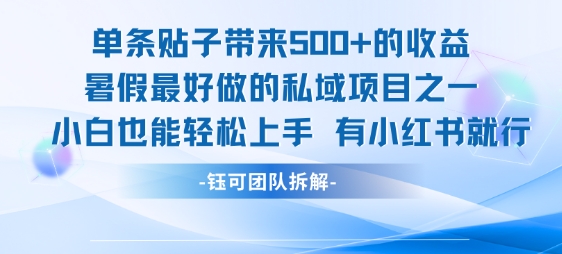 单条贴子带来5张的收益，暑假最好做的私域项目之一，小白也能轻松上手，有小红书就行_泡桐学堂