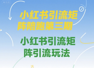 小红书引流矩阵陪跑第三期，小红书引流矩阵引流玩法_泡桐学堂