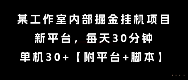 某工作室内部掘金挂G项目，新平台，每天30分钟，单机30+【揭秘】_泡桐学堂