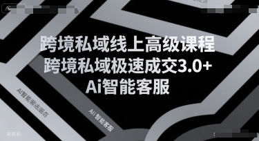 跨境私域线上高级课程，跨境私域极速成交3.0+Ai智能客服_泡桐学堂