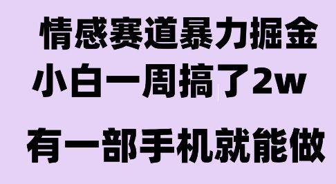 情感暴力掘金项目，新人操作一周挣了2W，长期稳定小白可做【揭秘】_泡桐学堂
