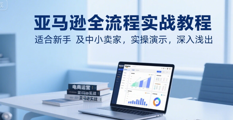 亚马逊全流程实战教程，适合新手及中小卖家，实操演示，深入浅出_泡桐学堂