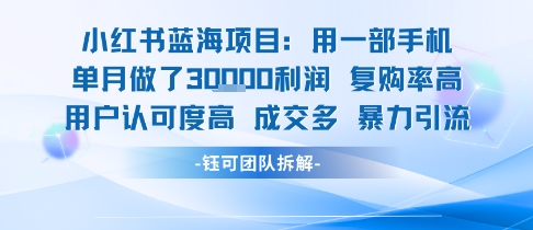 小红书蓝海项目，一部手机单月做了3W利润，小白也能月入过1W用户认可度高成交多_泡桐学堂