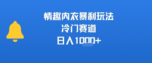 情趣内衣暴利玩法，冷门赛道，日入1k+_泡桐学堂