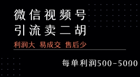 视频号卖二胡教程，利润大 易成交 售后少，一单利润5张+_泡桐学堂