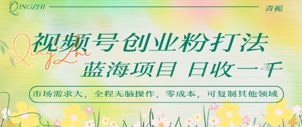 视频号创业粉打法，日入1k，蓝海项目，市场需求大，全程无脑操作，可复制_泡桐学堂